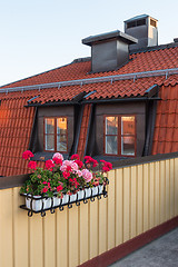 Image showing Roof terrace decorated with geraniums