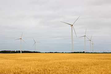 Image showing Wind turbines in a yellow field