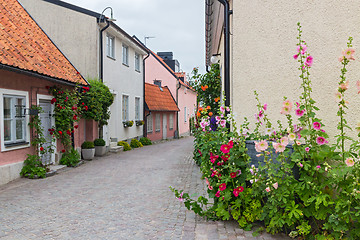 Image showing Cozy street with blooming mallows and roses