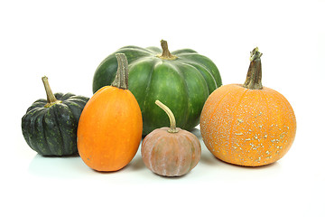 Image showing Pumpkins isolated