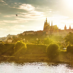 Image showing View of Prague castle on sunset