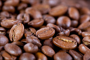 Image showing background from coffee beans