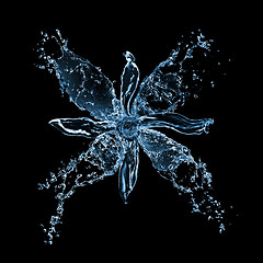 Image showing flower from water splashes isolated on black