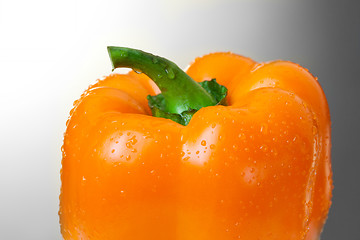 Image showing Yellow pepper on white