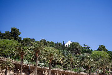 Image showing Green trees of Park Guell in Barcelona, Spain