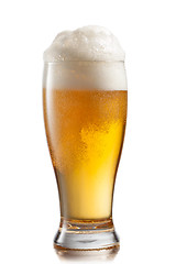 Image showing Beer in glass isolated on white background