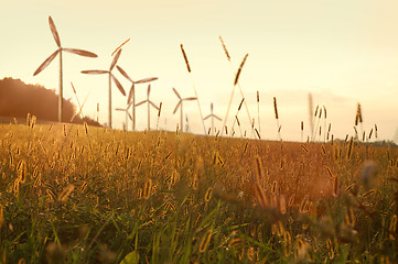 Image showing wind generator turbines on sunset