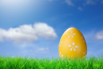 Image showing Color easter egg in the grass against blue sky