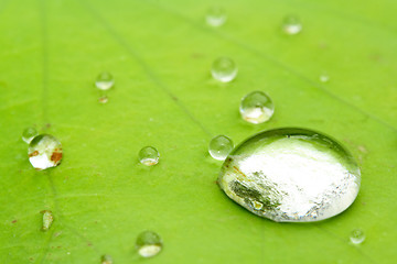 Image showing Water drops