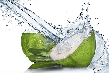 Image showing Green coconut with water splash isolated on white