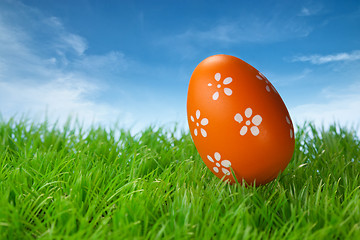 Image showing Color easter egg in the grass against blue sky