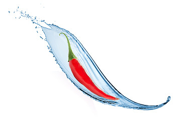Image showing chili pepper with water splash isolated on white
