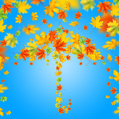 Image showing umbrella from autumn leaves against blue sky