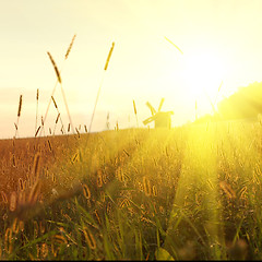 Image showing field on sunset