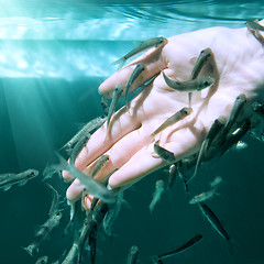 Image showing Hand in water with fishes (Fish spa for skin care)