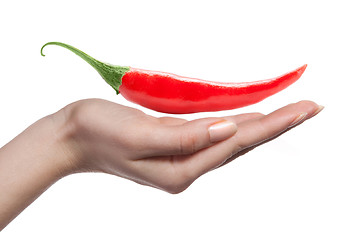 Image showing chili pepper and human hand isolated on white