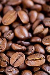 Image showing coffee beans