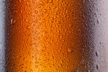 Image showing Beer bottle with water drops and frost