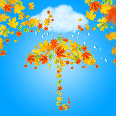 Image showing umbrella from autumn leaves under cloud and rain