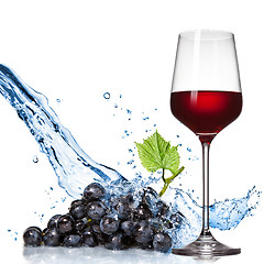 Image showing Glass of wine with blue grape and water splash isolated on white