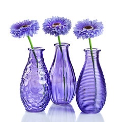 Image showing Blue flowers in vases isolated on white