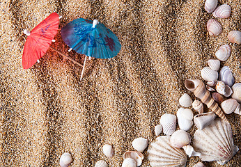 Image showing frame from various shells on sand