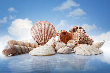 Image showing sea shells in water against blue sky