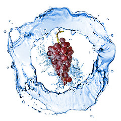 Image showing blue grape with water splash isolated on white