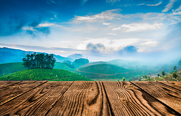 Image showing Tea plantations in India