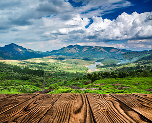 Image showing Tea plantations in India