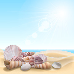 Image showing Shell on the beach