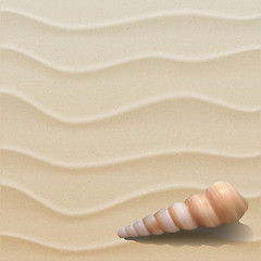 Image showing Marine background with seashell on sand.