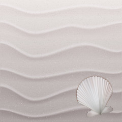 Image showing Marine background with seashell on sand.