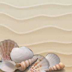 Image showing Marine background with seashells on sand.