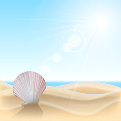 Image showing Shell on the beach