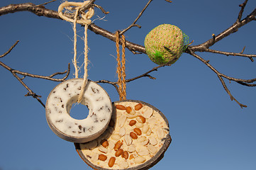 Image showing Selection of bird food