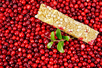 Image showing Granola bar in the cranberries with a sprig