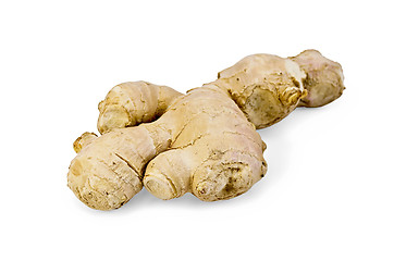 Image showing Ginger root