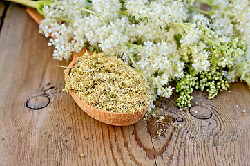 Image showing Herbal tea from meadowsweet dry on a spoon