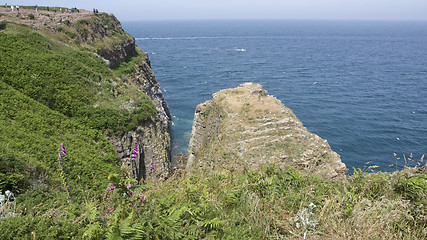 Image showing Cap Frehel