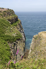 Image showing Cap Frehel