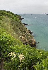 Image showing Cap Frehel