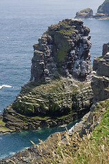 Image showing Cap Frehel