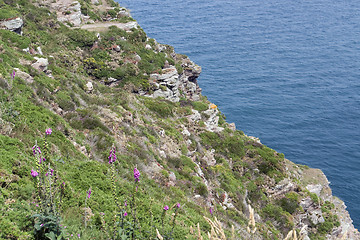 Image showing Cap Frehel