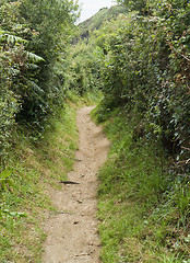 Image showing idyllic footpath