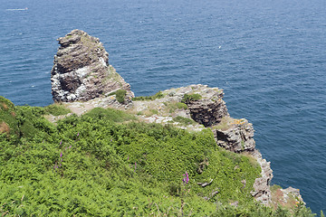 Image showing Cap Frehel