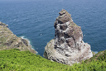 Image showing Cap Frehel