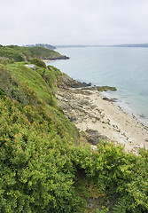 Image showing Cap Frehel