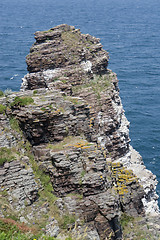 Image showing Cap Frehel