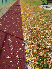 Image showing Autumn on school yard